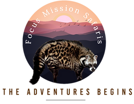 Focus Mission Safaris logo