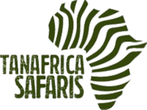 TanAfrica Safaris logo